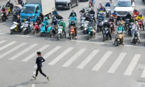 Nghị định 168/2024 ban hành theo trình tự rút gọn Nghị định 168/2024 ban hành theo trình tự rút gọn