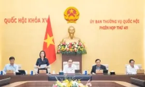 Chủ hộ kinh doanh bị thu BHXH sai được hưởng lương hưu Chủ hộ kinh doanh bị thu BHXH sai được hưởng lương hưu