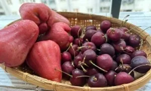 Lợi ích khi ăn trái cây trước bữa ăn