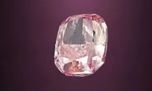 Băng trộm cuỗm viên kim cương hồng 25 triệu USD Băng trộm cuỗm viên kim cương hồng 25 triệu USD