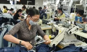 Nhiều doanh nghiệp dệt may tuyển dụng trở lại Nhiều doanh nghiệp dệt may tuyển dụng trở lại