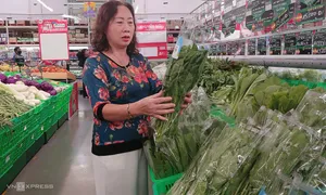 Ví tiền hộ gia đình mỏng dần giữa vòng xoáy chi phí