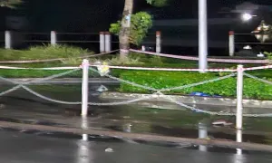 Hai trẻ bị điện giật tử vong khi chơi trong công viên ngập nước Hai trẻ bị điện giật tử vong khi chơi trong công viên ngập nước