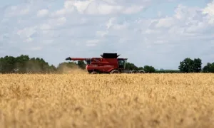 Trung Quốc mua lô lúa mỳ Mỹ đầu tiên sau một năm