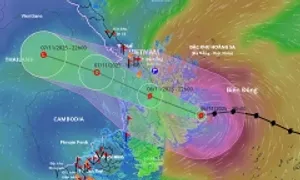 Bão Kalmaegi mạnh lên cấp 15, đổ bộ Quảng Ngãi - Gia Lai chiều nay