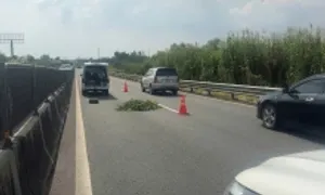 Thi thể người đàn ông nước ngoài trên cao tốc Trung Lương